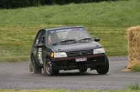 deposit-taken-peugeot-205-gti-19-tarmac-rally