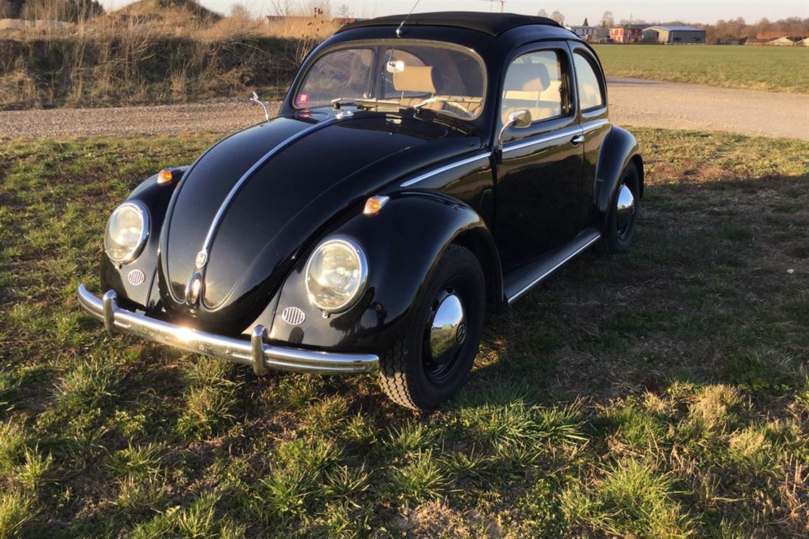 split-window-beetle-artz-automobile-2000