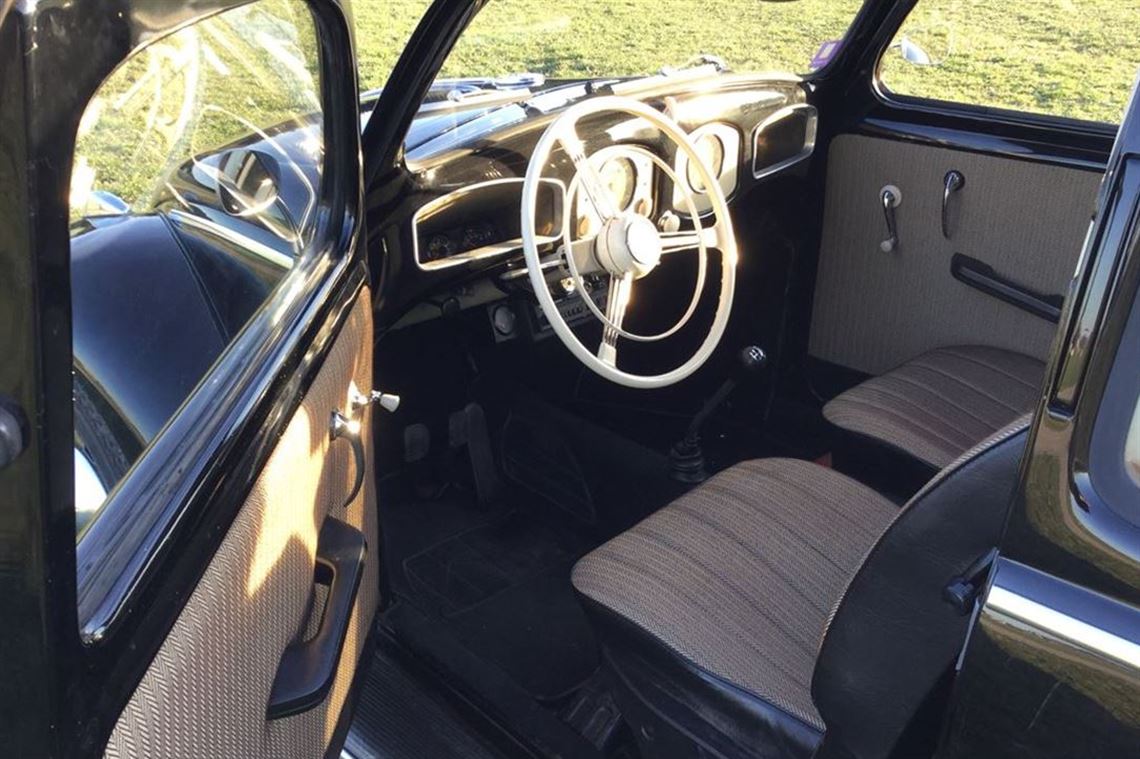 split-window-beetle-artz-automobile-2000