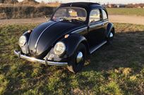split-window-beetle-artz-automobile-2000