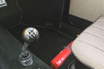 split-window-beetle-artz-automobile-2000