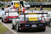 porsche-911-gt3-cup-991-gen-ii-racing-car-201