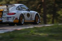 2011-9972-gt3-cup-ex-super-cup-sold