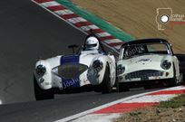 1956-austin-healey-100-bn2