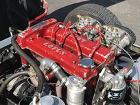 lola-bodied-lotus-special