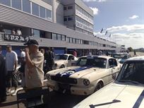 race-shelby-mustang-replica