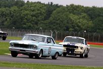 race-shelby-mustang-replica