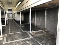 bence-2-car-racetrailer-for-sale