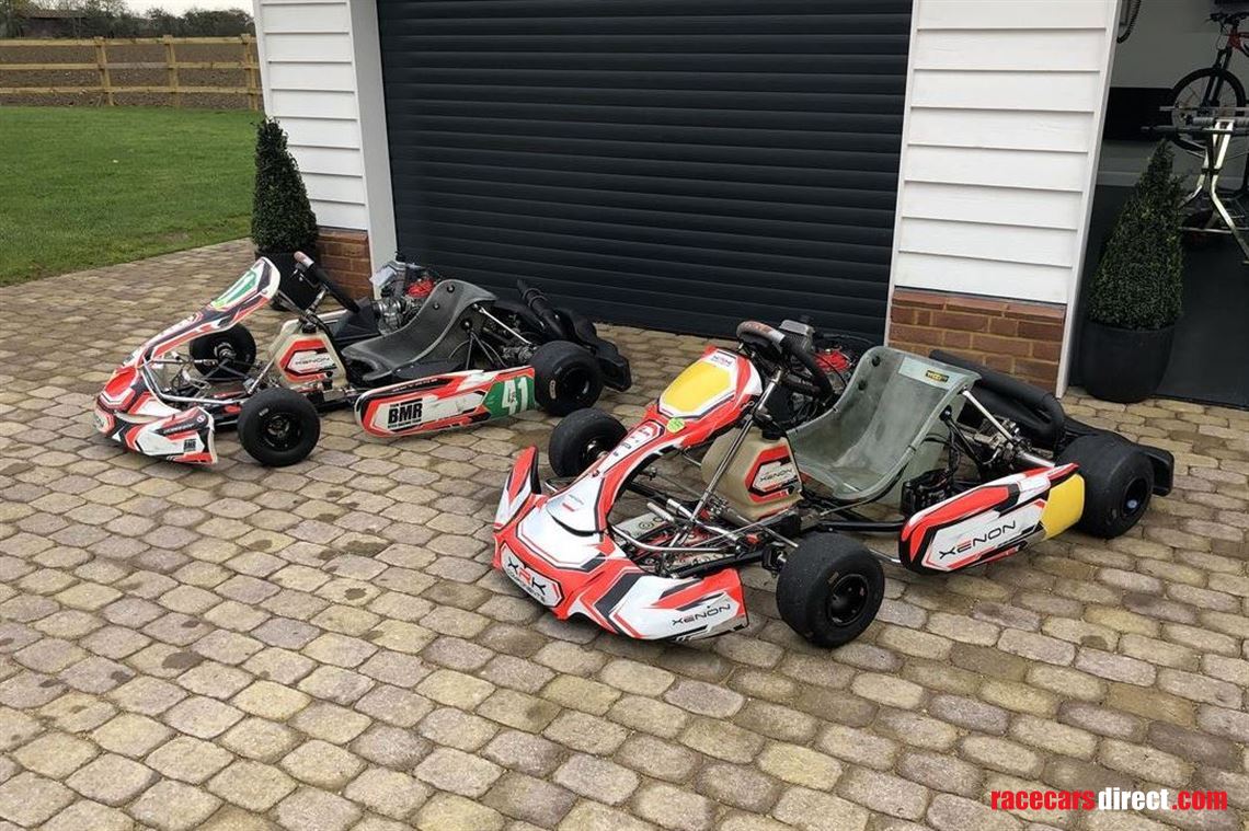 2 X Xenon Rotaxmax Karts