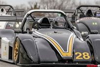 2013-radical-sr3-rs-1340cc-usd46000