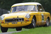 successful-fia-mgb