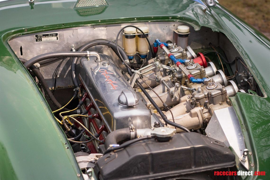 austin-healey-3000-race-car