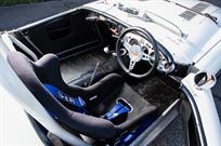 1955-austin-healey-100-fia-spec-race-car