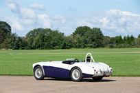 1955-austin-healey-100-fia-spec-race-car
