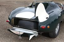 jaguar-d-type-long-nose-le-man-specification