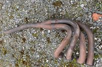 cosworth-fva-exhaust-complete