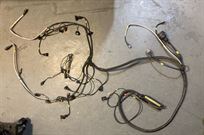 life-racing-f88-ecu-and-rpe-v8-loom