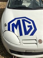 mg-ftf-race-car