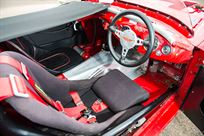 1955-austin-healey-100m-fia-race-car