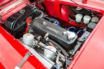 1955-austin-healey-100m-fia-race-car