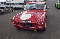 mg-midget-ashley