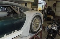 tvr-cerbera-race-car-project
