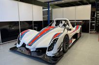 radical-sr10
