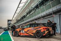 cupra-tcr-seq-my2019-chassis239