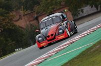 front-running-fun-cup-cars-new-price-14995-ea