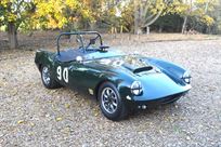 price-reduced-race-winning-elva-courier-mk3-1