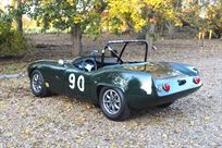 price-reduced-race-winning-elva-courier-mk3-1