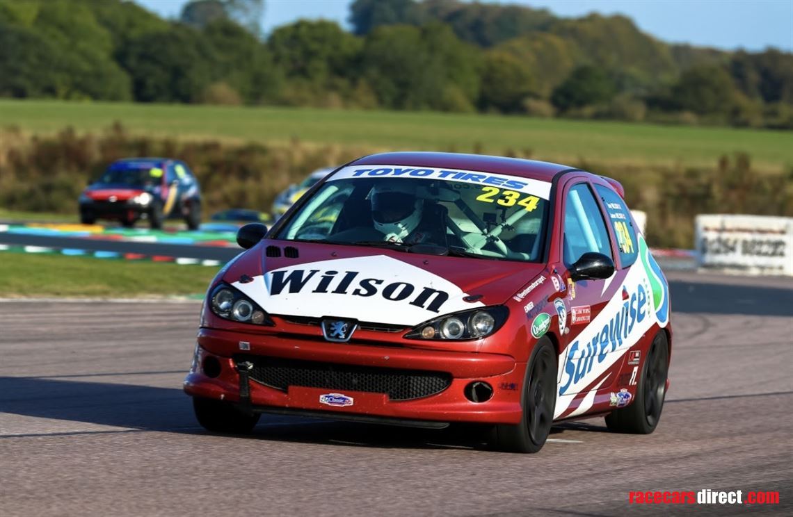 sold-peugeot-206-gti-180-race-car