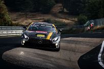 mercedes-amg-gt4-in-very-good-condition-only