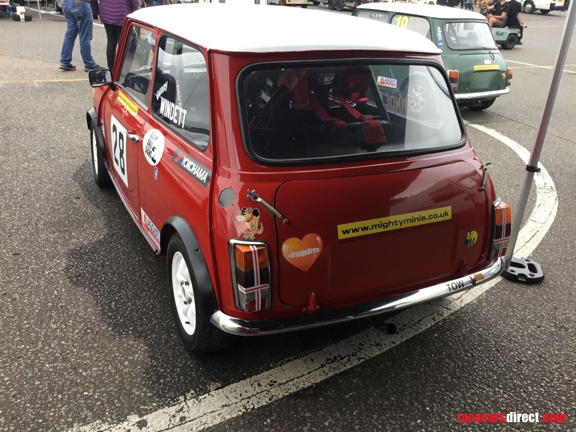 rover-mini-mighty-mini