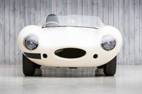 jaguar-d-type-fia-recreation