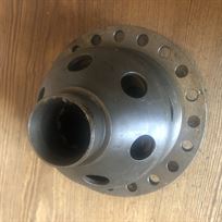 hewland-fgdg-cam-pawl-lsd