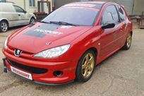 peugeot-206gti-180-race-car
