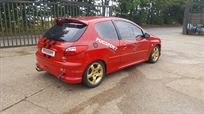 peugeot-206gti-180-race-car