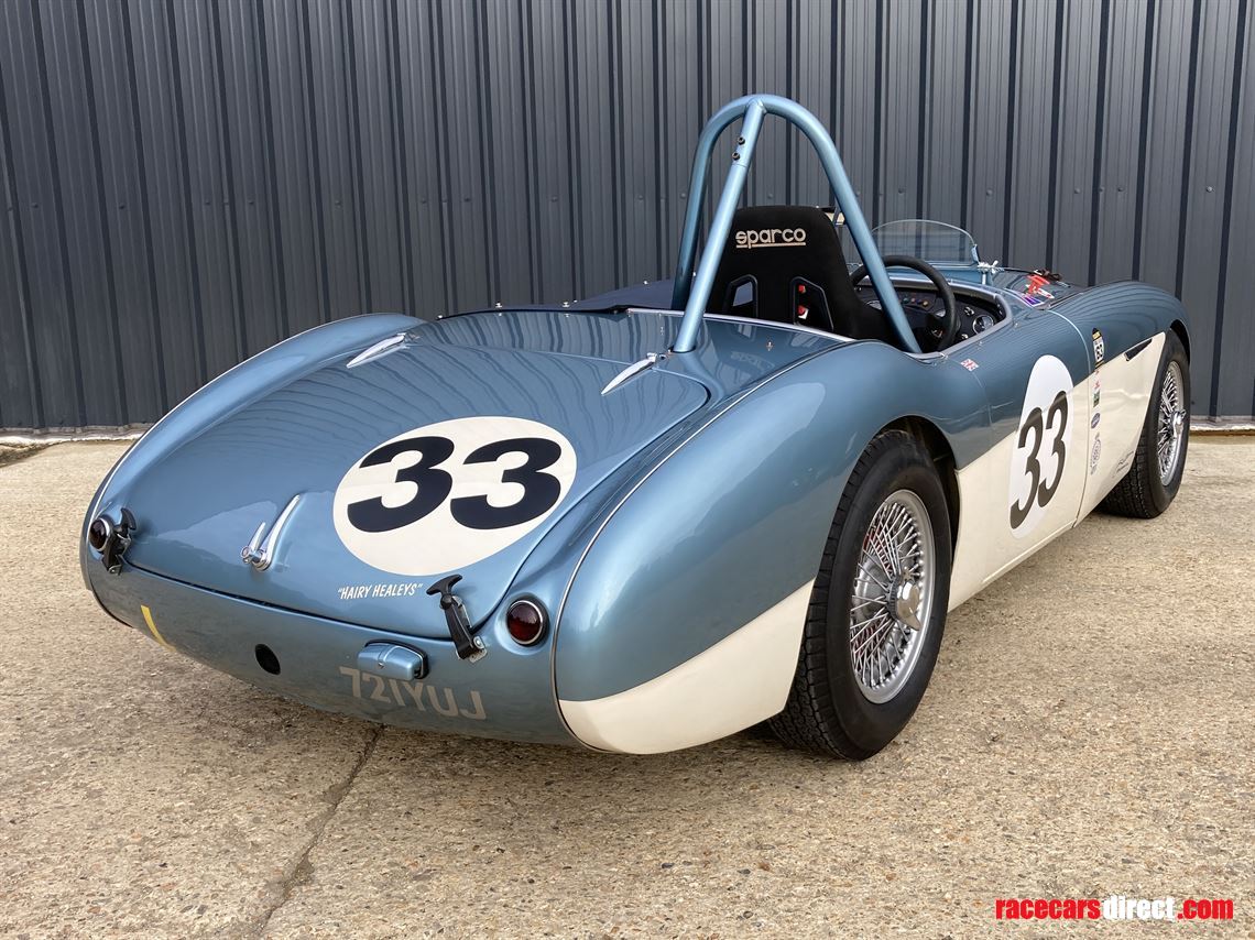 austin-healey-100-race-car-fia
