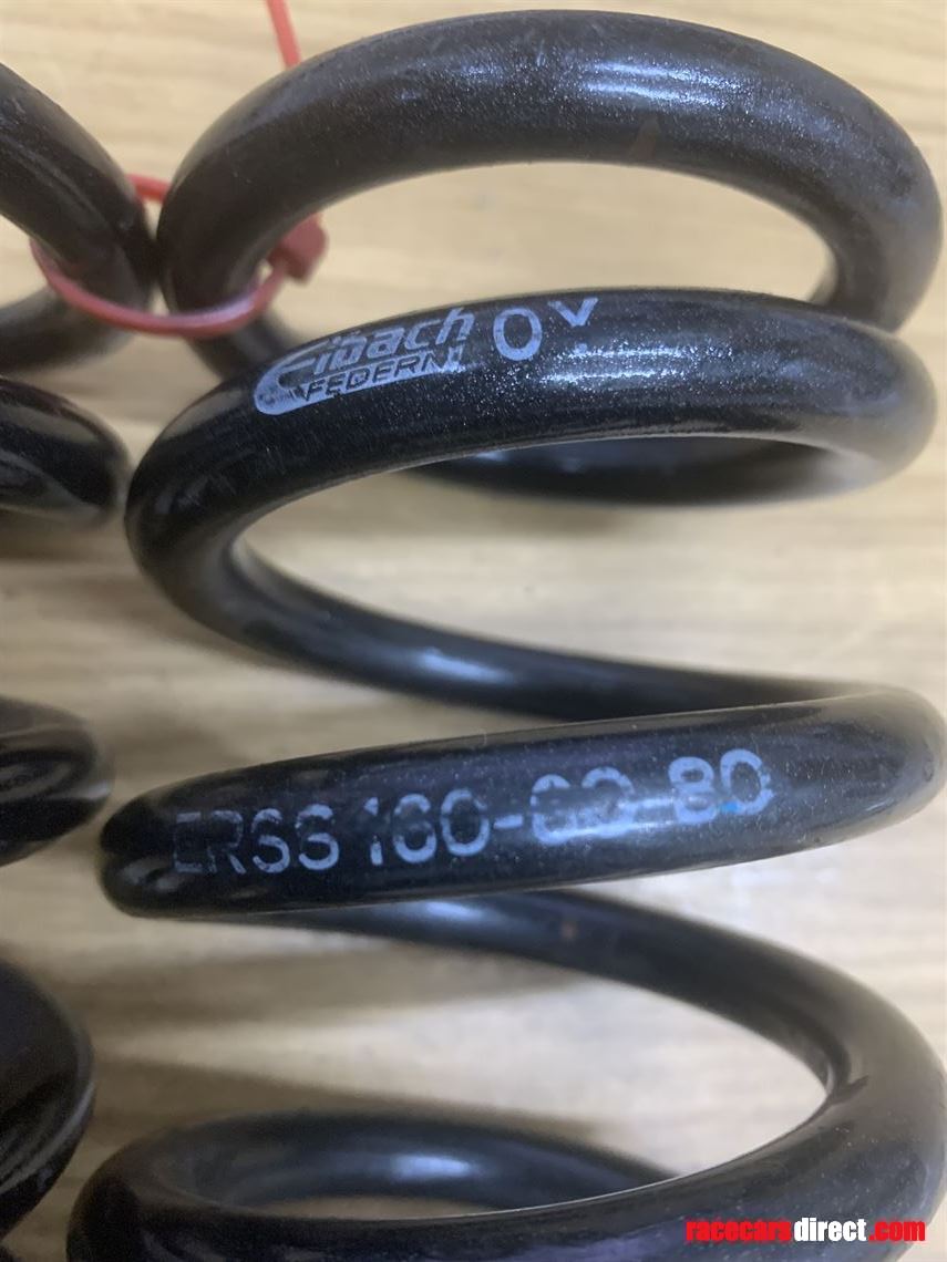 eibach-coil-over-springs-60-x-160-x-160-nmm-4