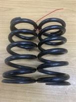 eibach-coil-over-springs-60-x-160-x-160-nmm-4