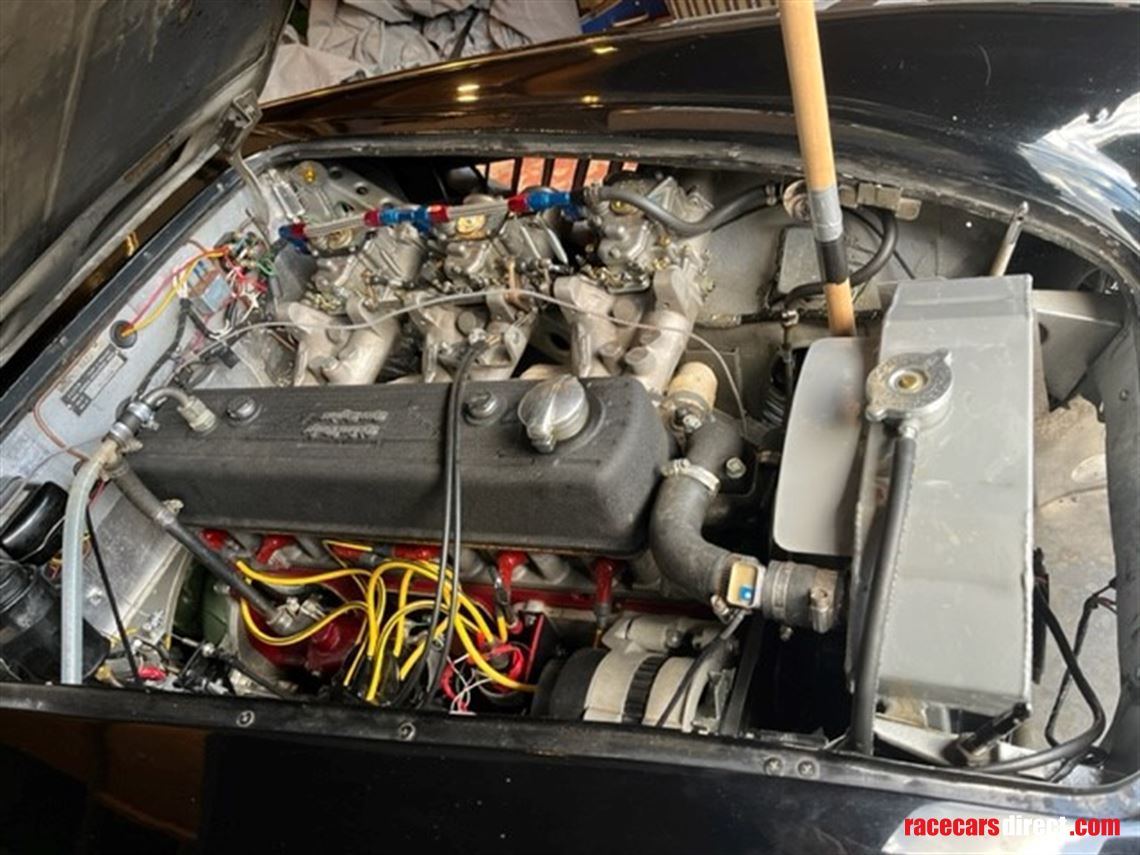 austin-healey-1006-fia-pre-63