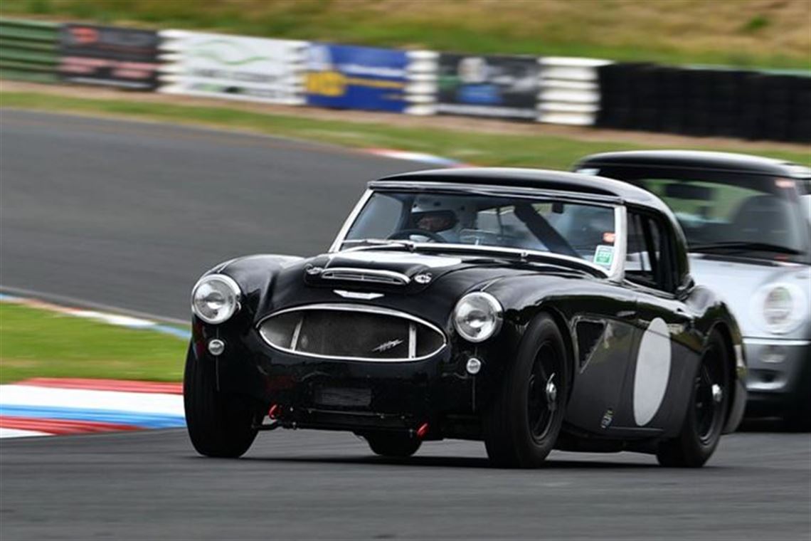 austin-healey-1006-fia-pre-63