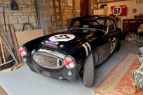 austin-healey-1006-fia-pre-63
