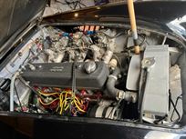 austin-healey-1006-fia-pre-63