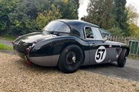 austin-healey-1006-fia-pre-63