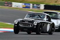 austin-healey-1006-fia-pre-63