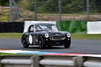 austin-healey-1006-fia-pre-63
