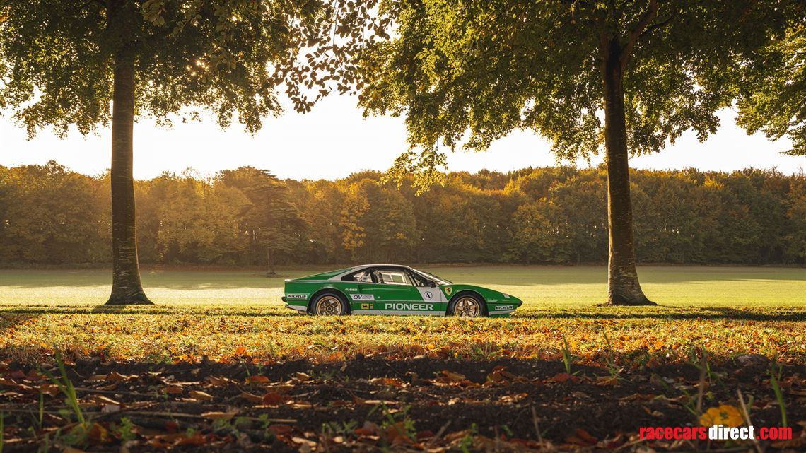 ferrari-308-gtb-group-4-style-race-car