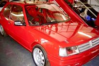 peugeot-309gti-race-rally-or-hillclimb-car